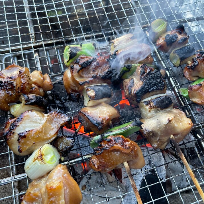 【キャンプ】元気の出る焼き鳥！！